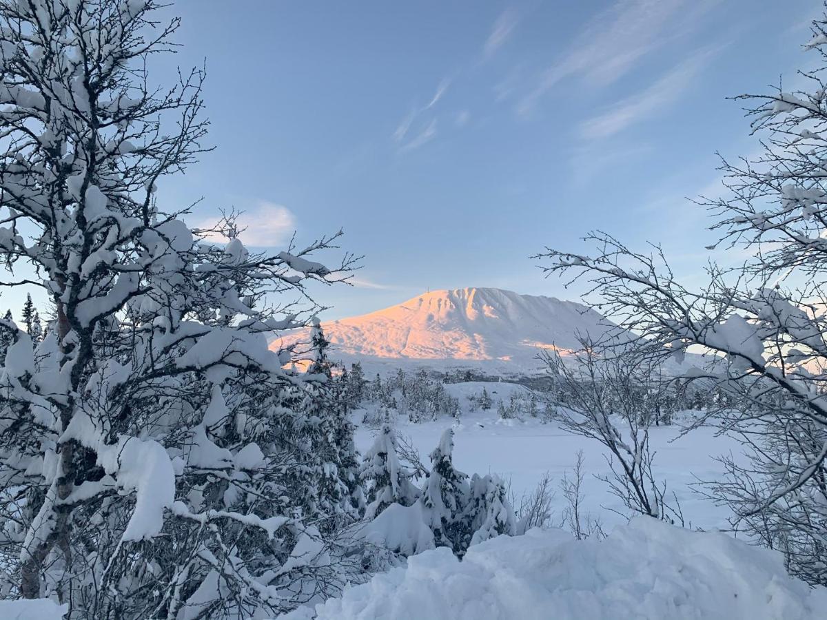 New Apartment, Gausta In Rjukan. Ski In/ Ski Out 外观 照片